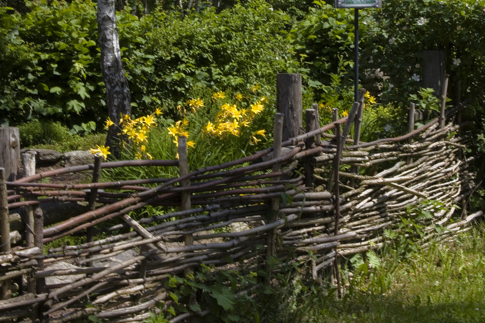 Naturzaun Foto & Bild deutschland, europe, sachsen Bilder auf