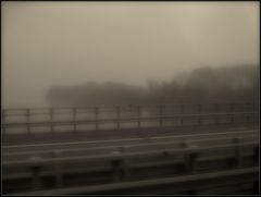 nella nebbia sul Po....