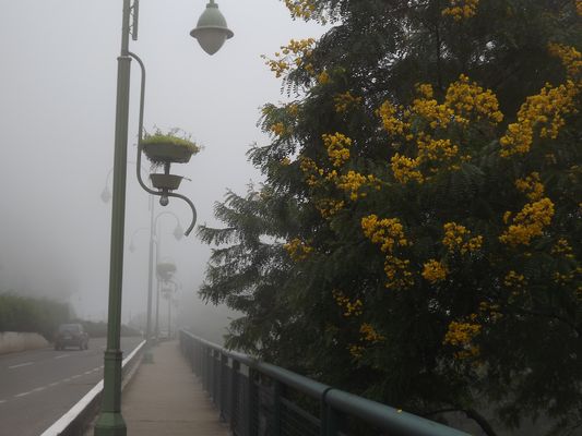 NEVOEIRO NA SERRA (CIDADE DE GRAMADO, SERRA GAUCHA, RIO GRANDE DO SUL, BRASIL)