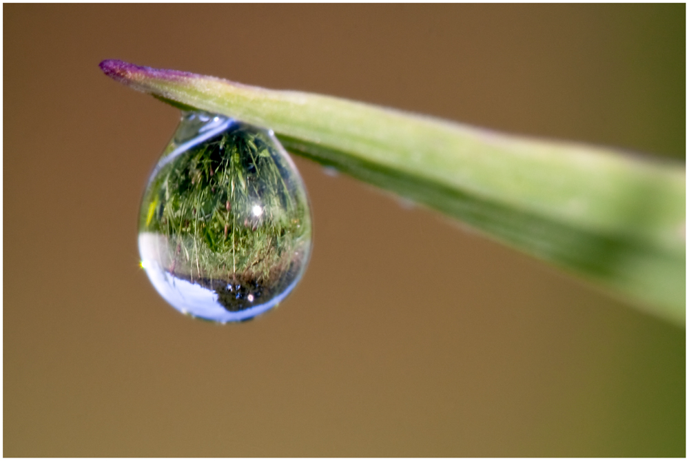 Nur ein Regentropfen.... Foto & Bild regenfotos, wetter, landschaften