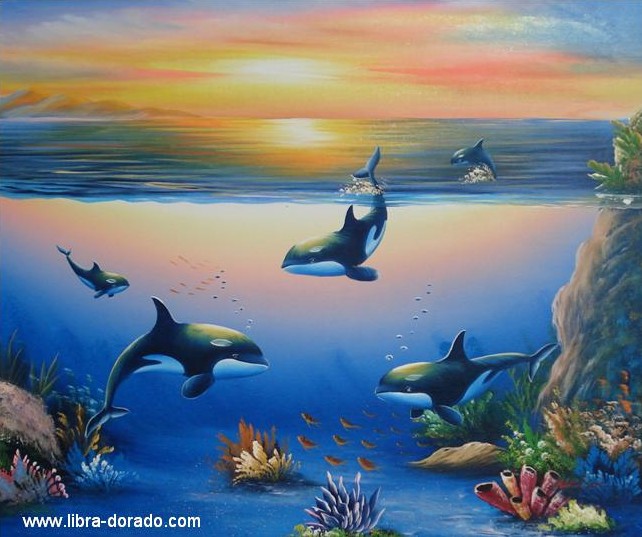 Orcas Im Sonnenuntergang Orcas Im Sonnenuntergang