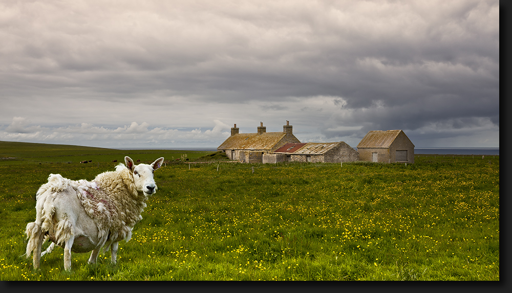 Island Jobs Scotland Island Jobs Scotland