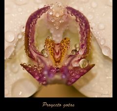 Perlas de colores. (proyecto gotas de agua)