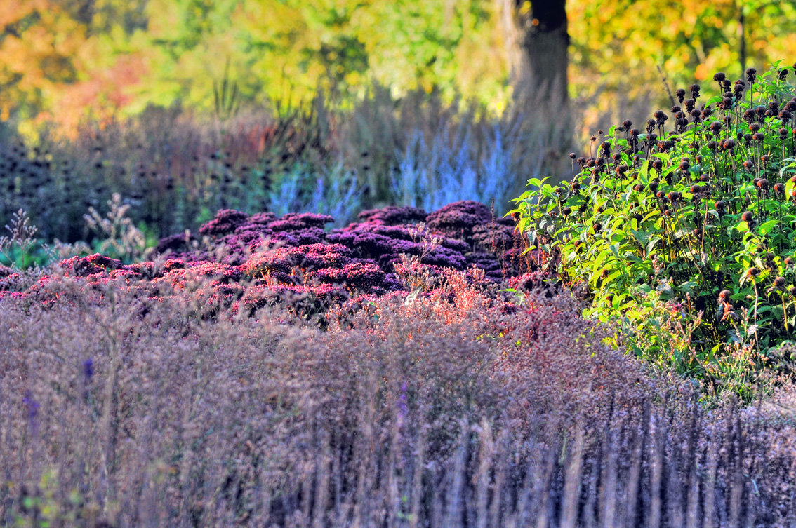 Piet OudolfGarten Foto & Bild jahreszeiten, herbst