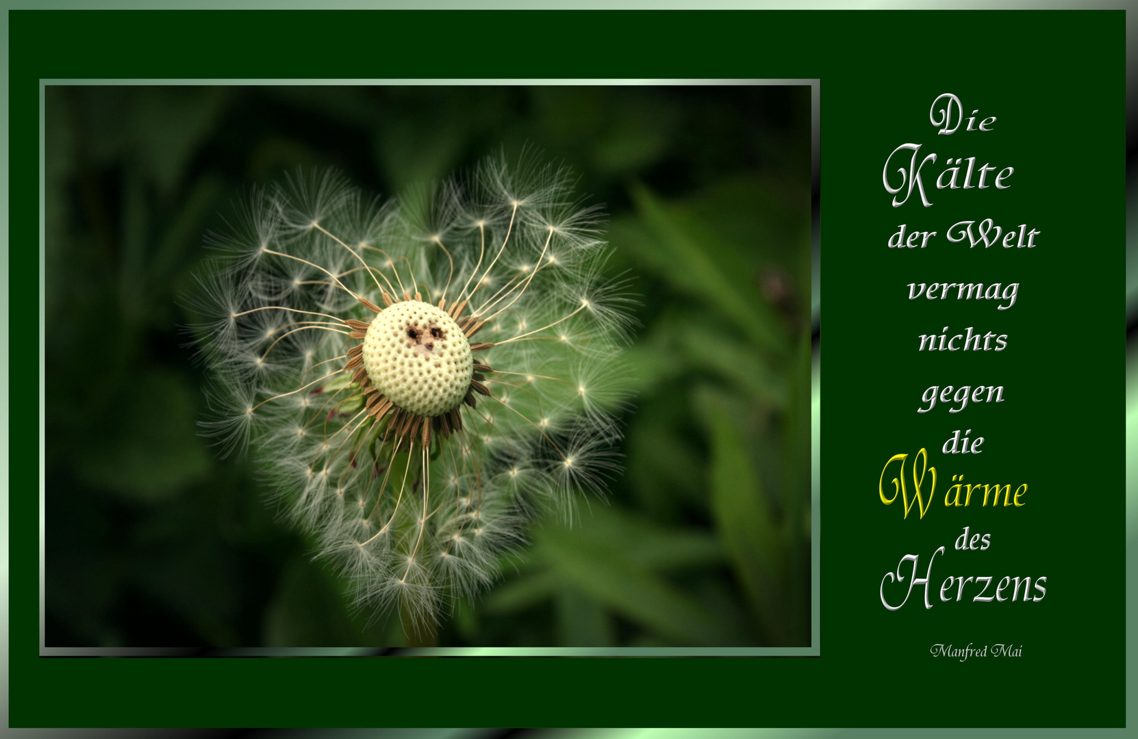 Pusteblume mit Herz und Gesicht Foto & Bild karten und kalender