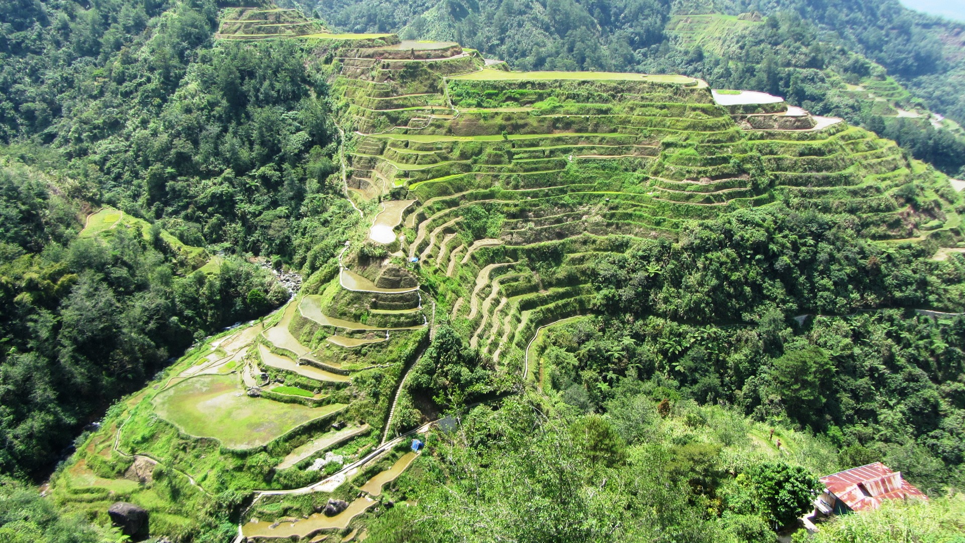 Reisterrassen bei Banaue, Foto & Bild | asia, philippines, southeast