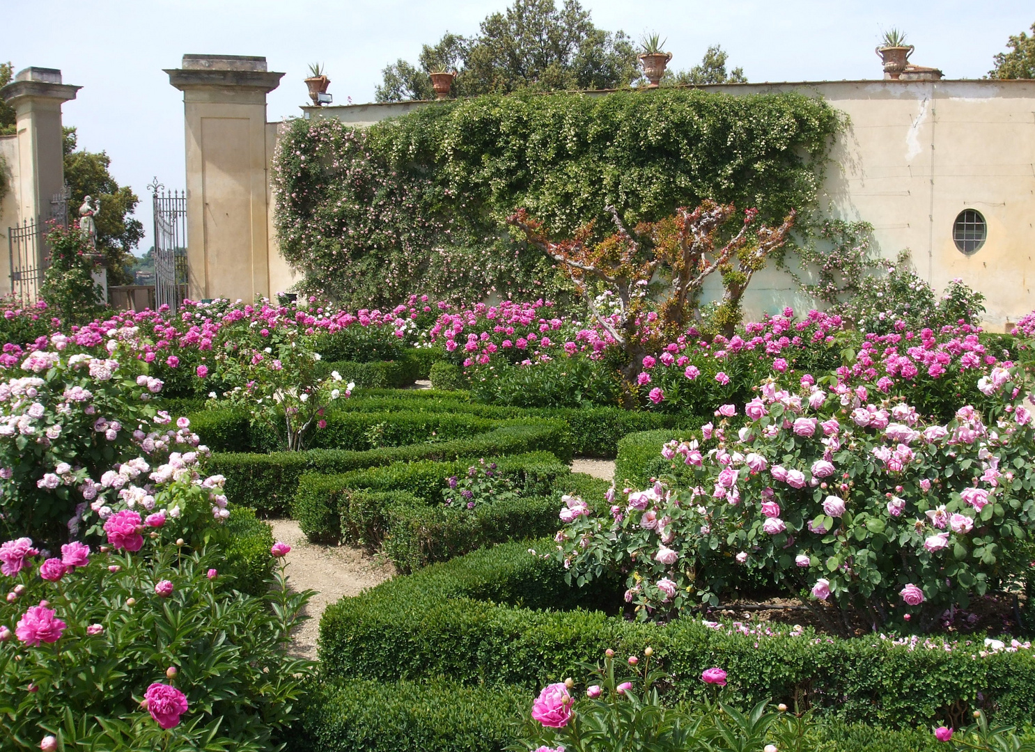 Rosengarten, BoboliGärten Florenz Foto &amp; Bild europe