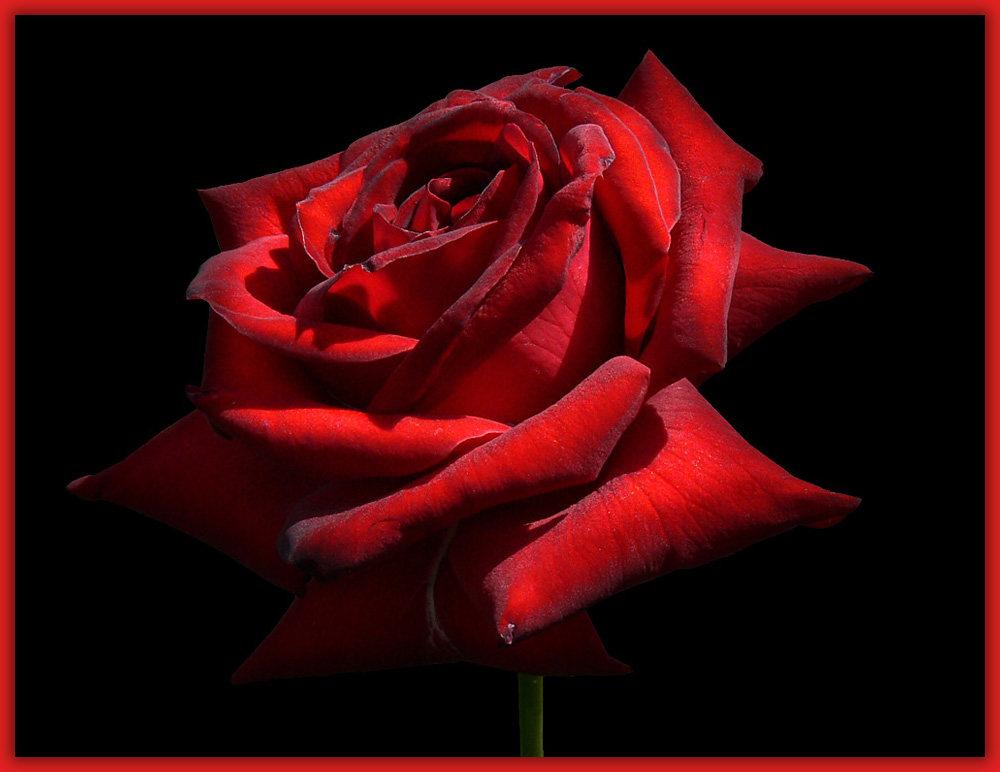 Schwarz Rot Schwarz Rot