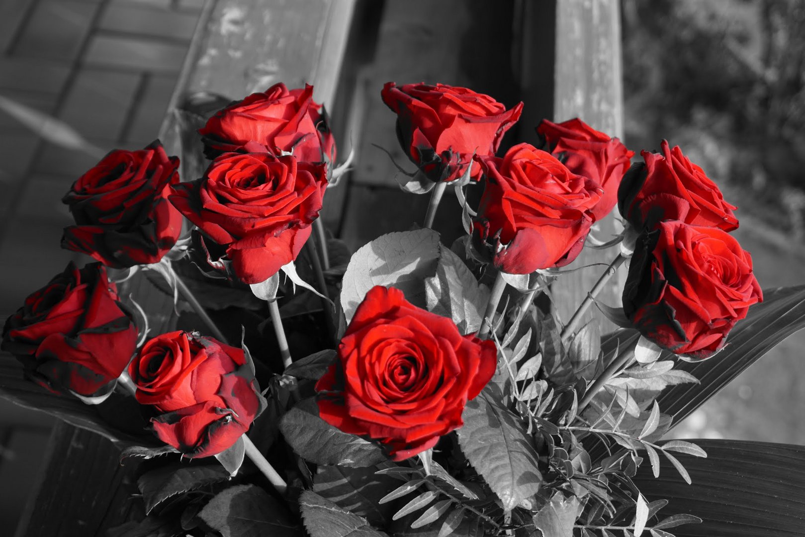 Rote Rosen 3097 Rote Rosen 3097