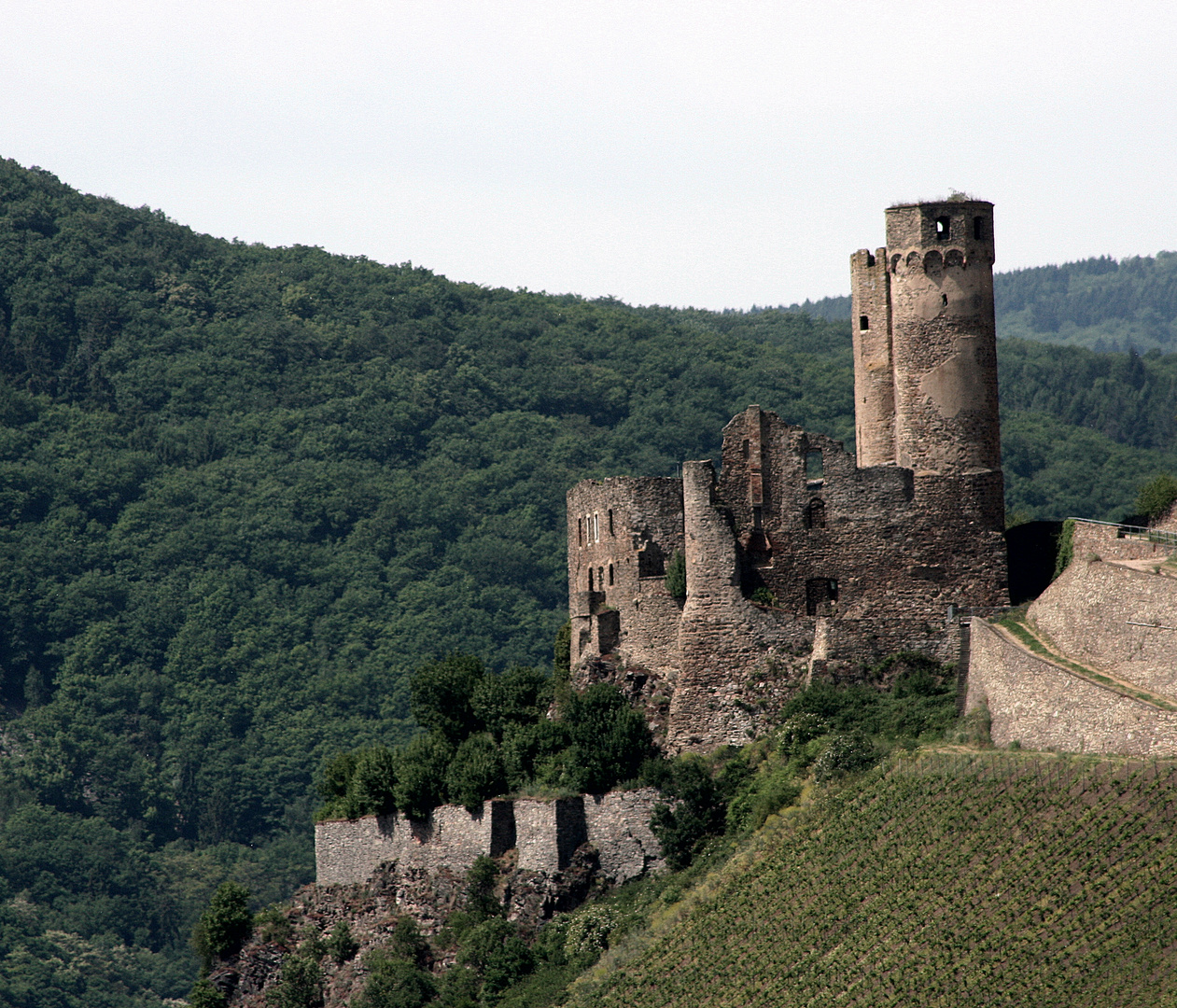 Ruine Ehrenfels Foto & Bild architektur, schlösser & burgen