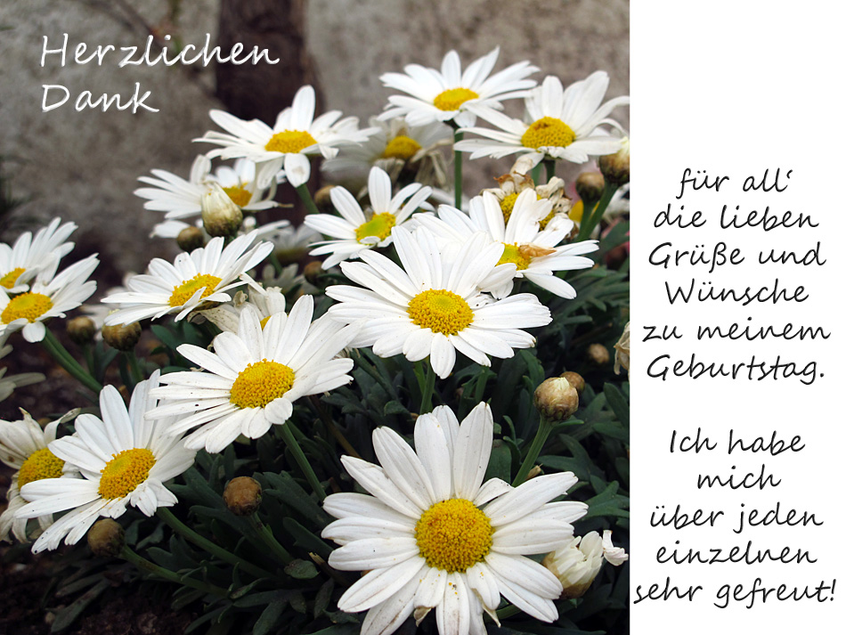 Sag es mit Blumen Foto &amp; Bild karten und kalender, dankeschön, karten 2012 Bilder auf