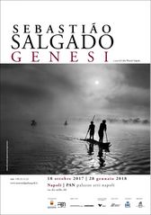 Salgado - Genesi