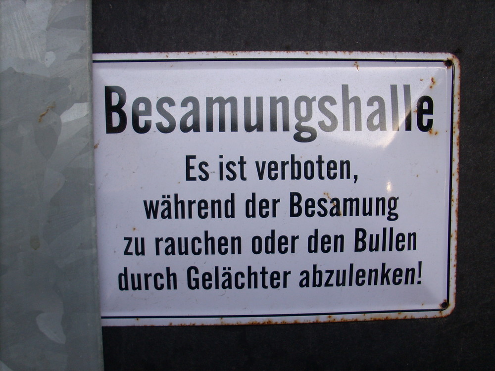 Schluss mit lustig... Foto & Bild quatsch, fun und rätselecke