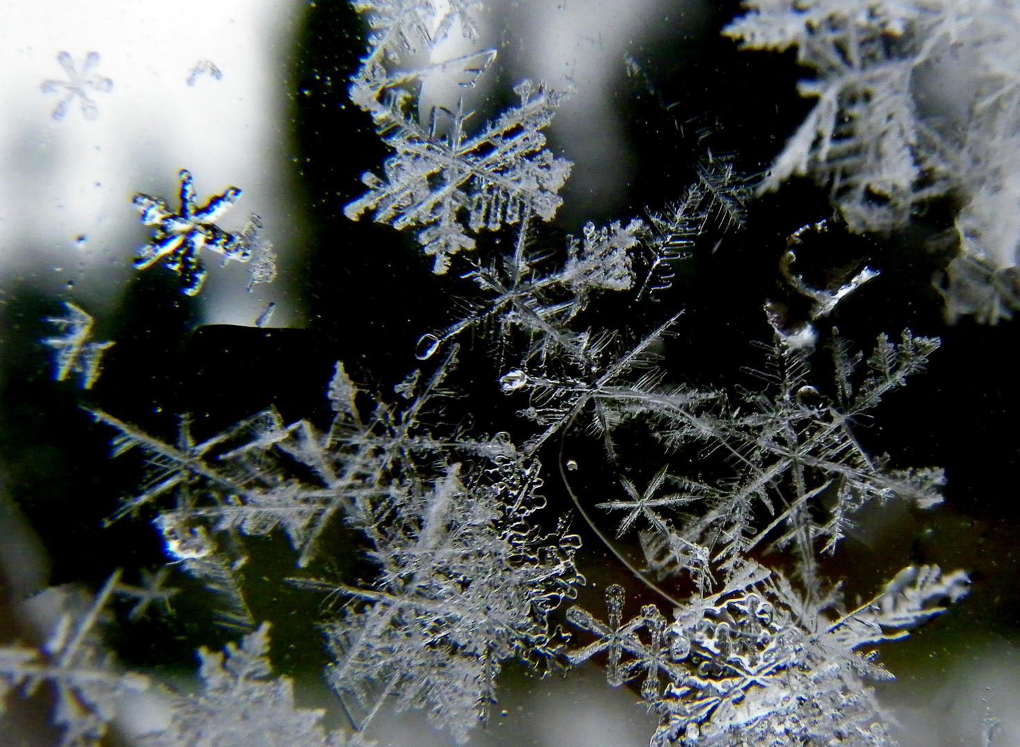 Schneeflocken am Fenster Foto &amp; Bild jahreszeiten
