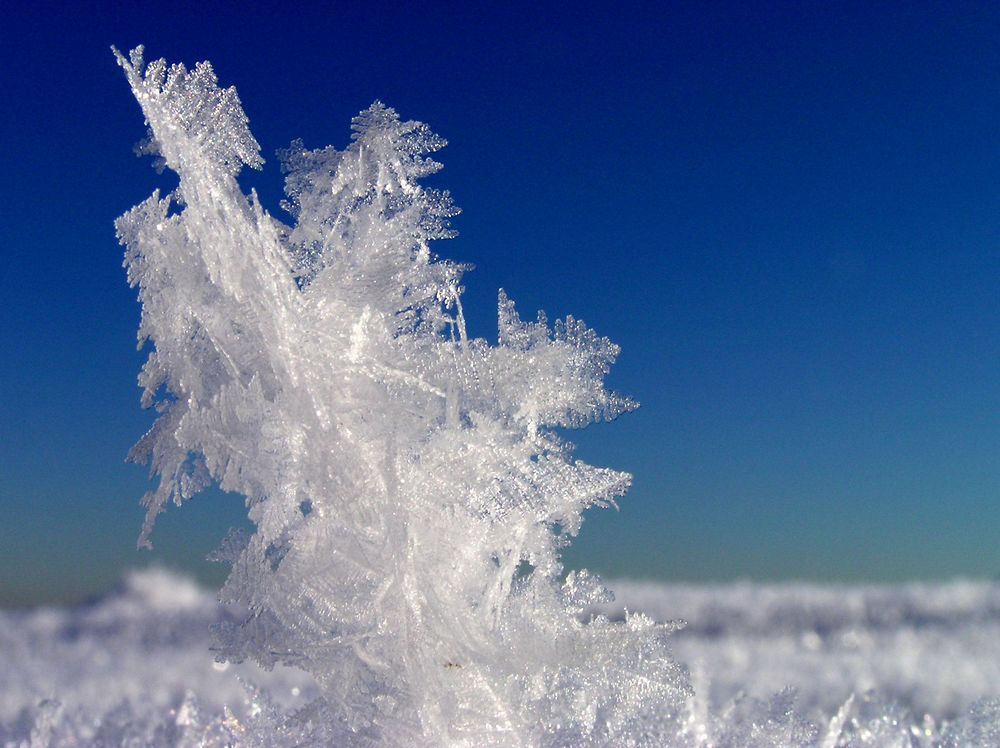 Schneekristalle Foto & Bild jahreszeiten, winter, natur Bilder auf