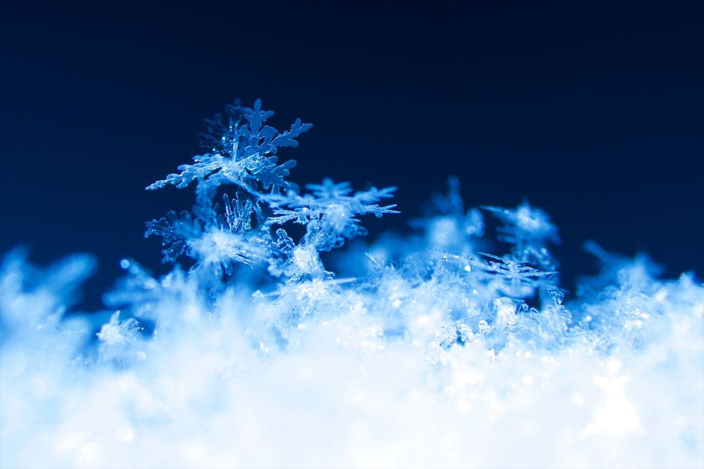 Schneekristalle v1 Foto & Bild abstraktes, strukturen, natur