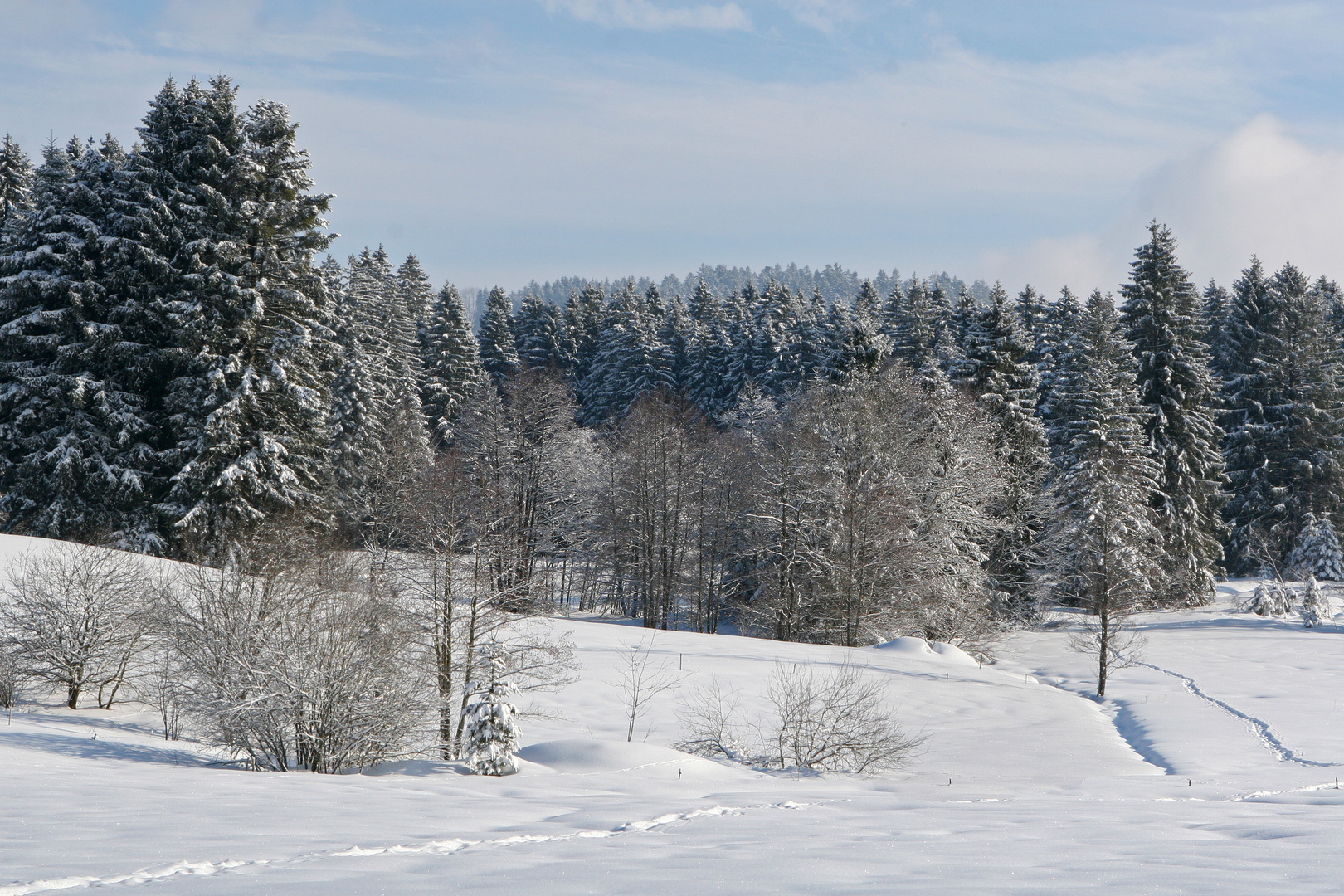 Schneelandschaft Foto &amp; Bild | jahreszeiten, winter, natur Bilder auf
