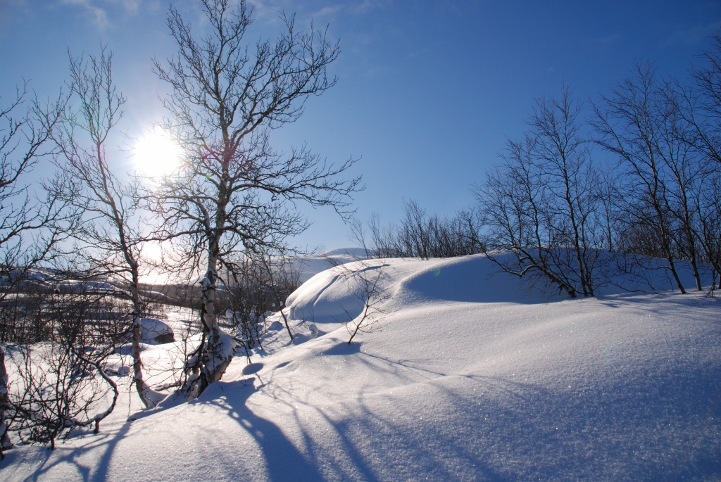 Schneelandschaft Foto & Bild  jahreszeiten, winter, landschaft Bilder 