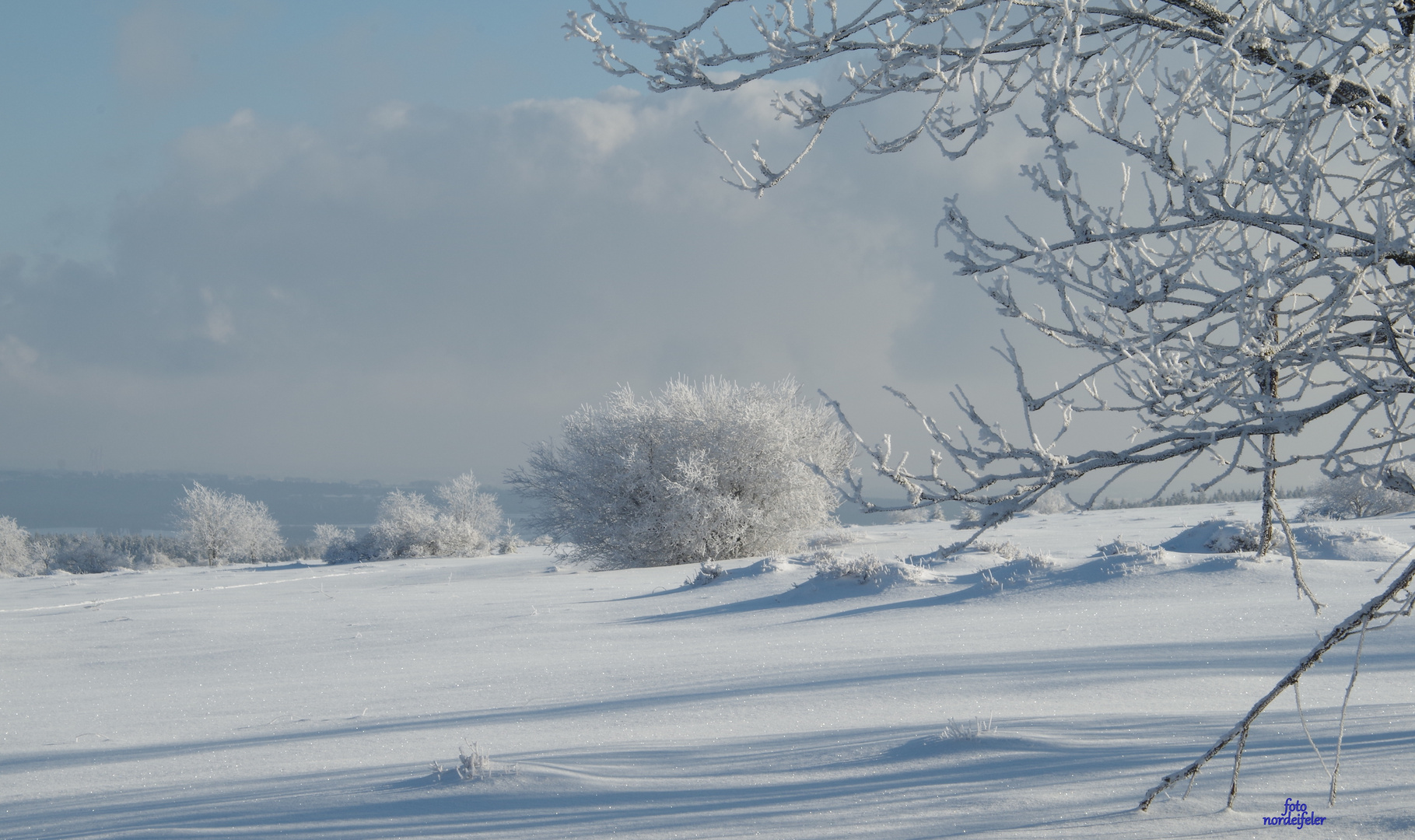 Schneelandschaft Foto & Bild wintereinbruch, natur Bilder auf