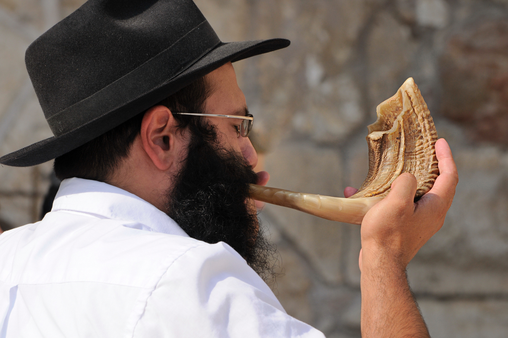 Schofar an der Klagemauer in Jerusalem Foto & Bild asia, middle east
