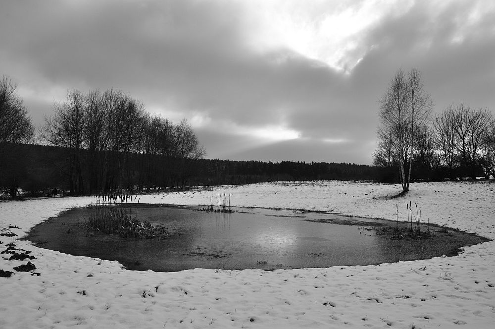 schwarzweiss Foto & Bild Natur, Landschaft, See, Teich & Tümpel