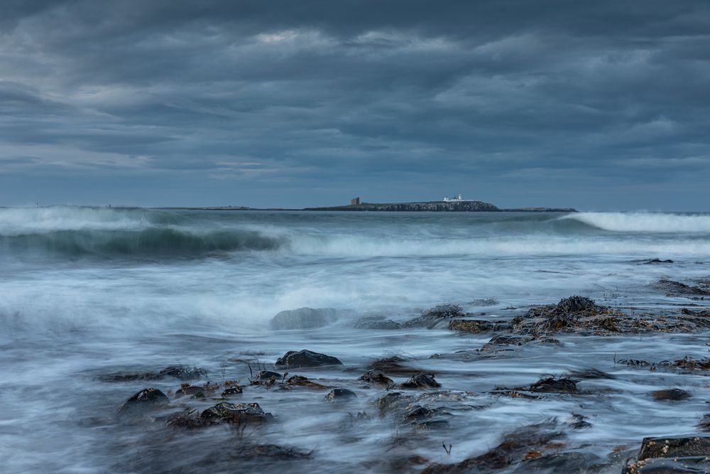 Sea ...