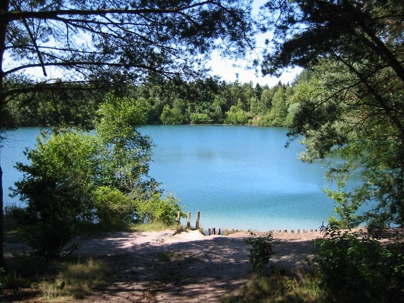 http://img.fotocommunity.com/see-im-wald-b5177c9a-c493-42fa-a7d8-03f83bfbfc97.jpg?width=1000