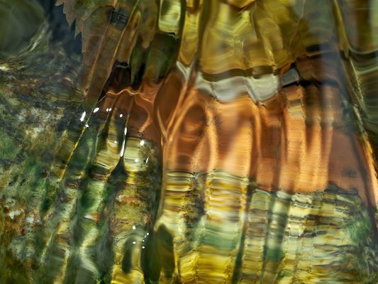 Seelenbilder 7: Wasser- und Gefühlsbewegungen. - L'eau comme moyen d'expression!