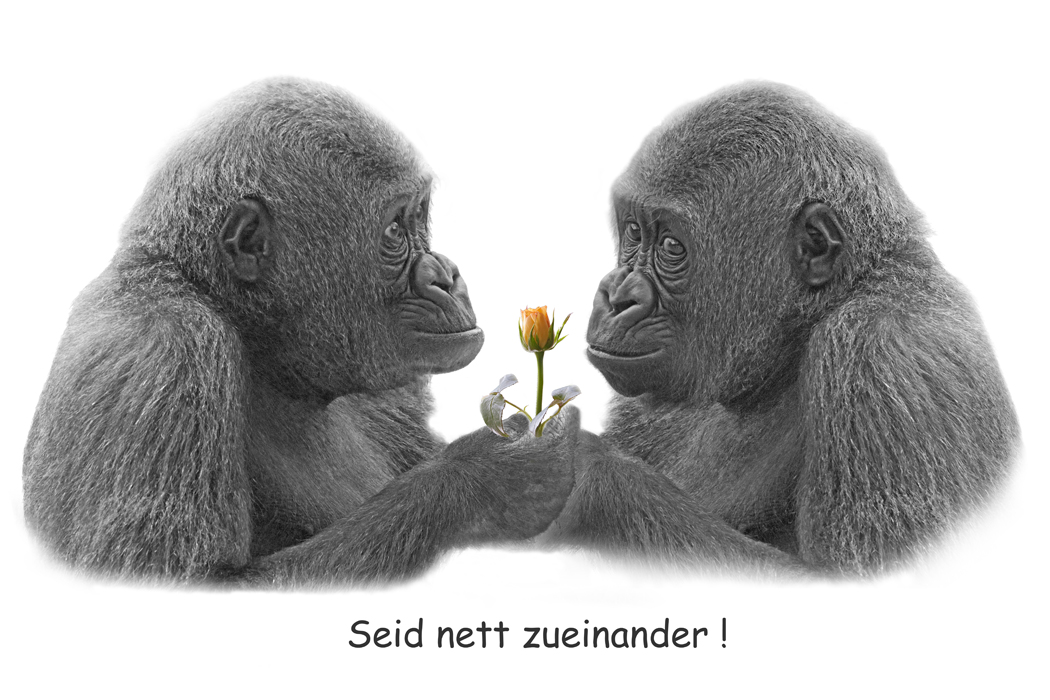 Seid nett zueinander Foto & Bild kunstfotografie & kultur, affen