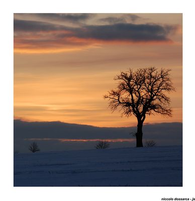 Sonntags-Farben (06) im Neulinger Winter