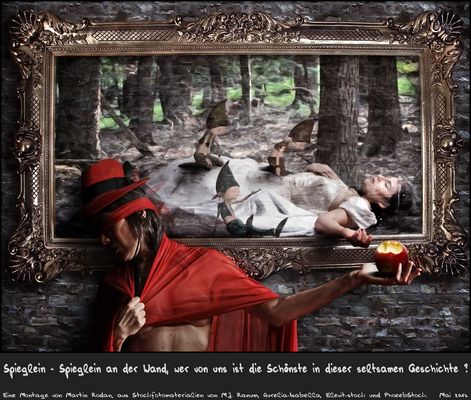 Spieglein - Spieglein an der Wand, wer von uns ist die Schönste in dieser seltsamen Geschichte ?
