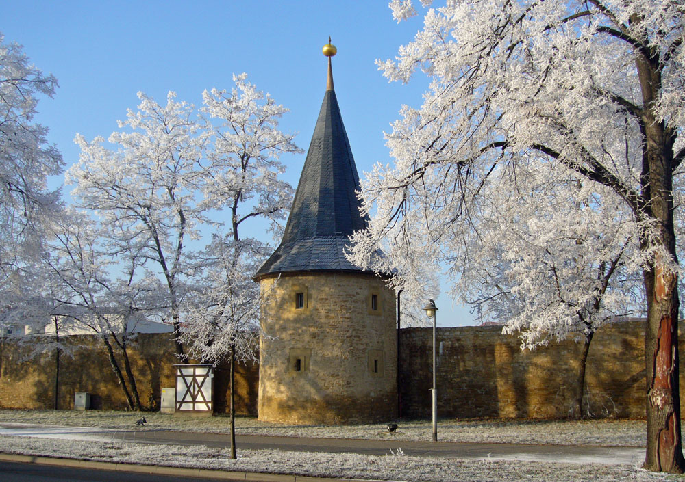 Stadtmauer in Sömmerda Foto & Bild natur, motive Bilder auf