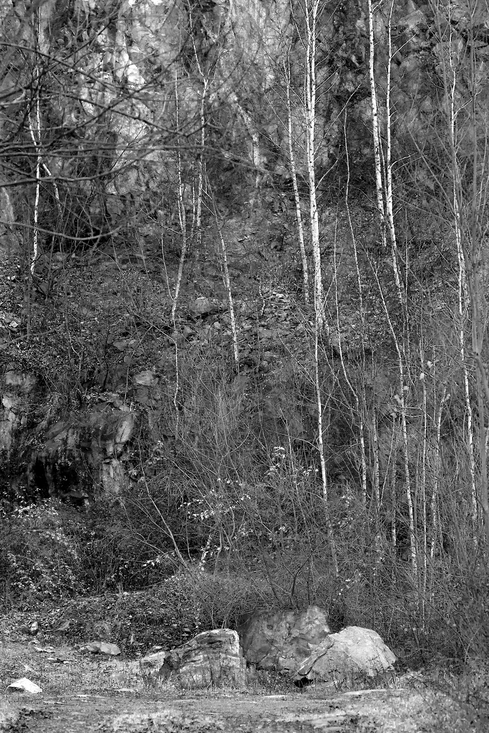 Steinwand fotos & bilder auf fotocommunity Steinwand