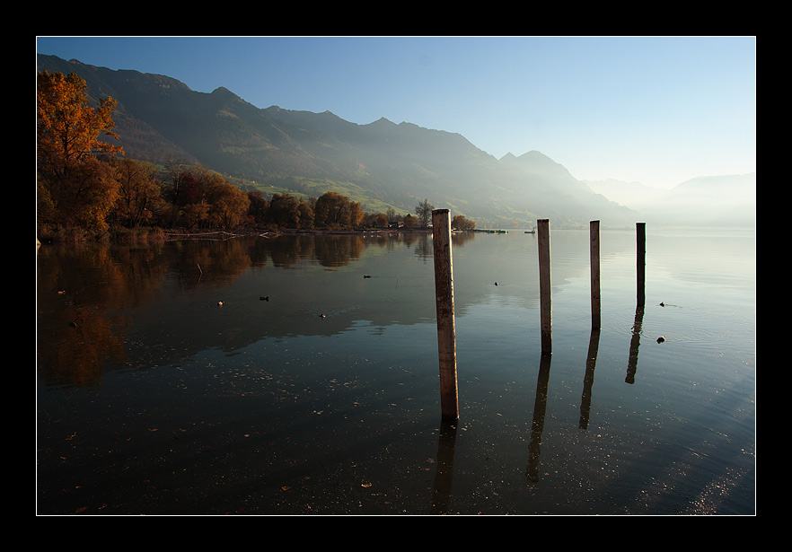 Stille Wasser Gründen Tief Stille Wasser Gründen Tief