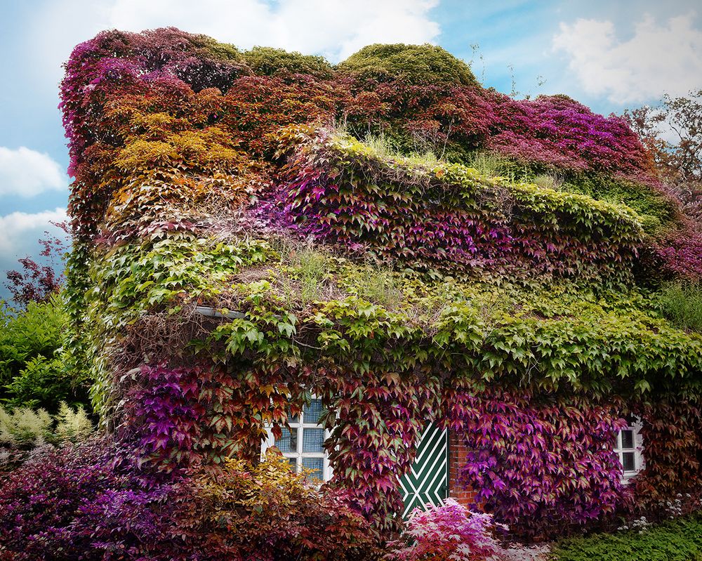 the house Foto & Bild landschaft, rückkehr der natur