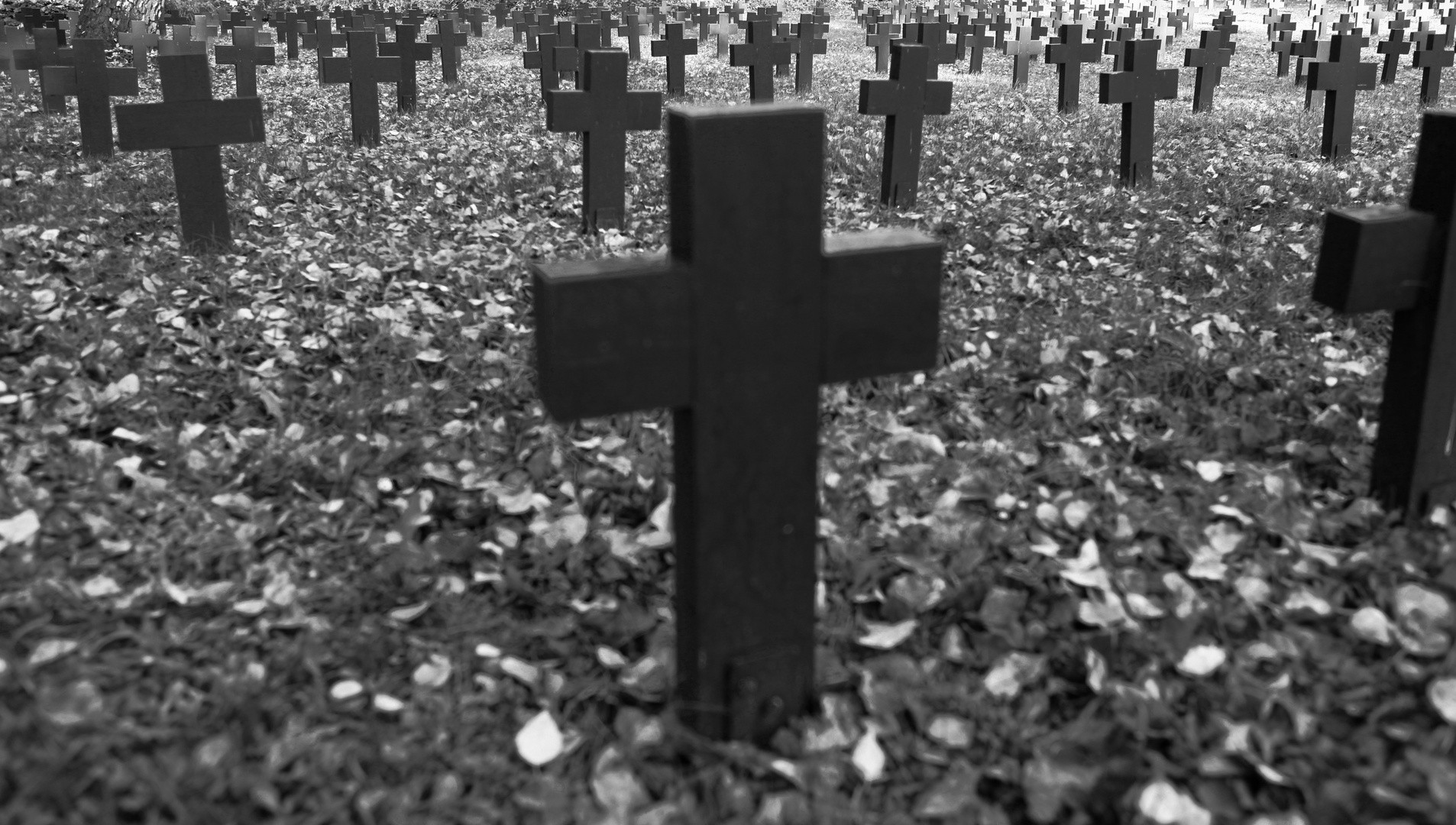 trauer bilder schwarz weiГџ trauer bilder schwarz weiГџ