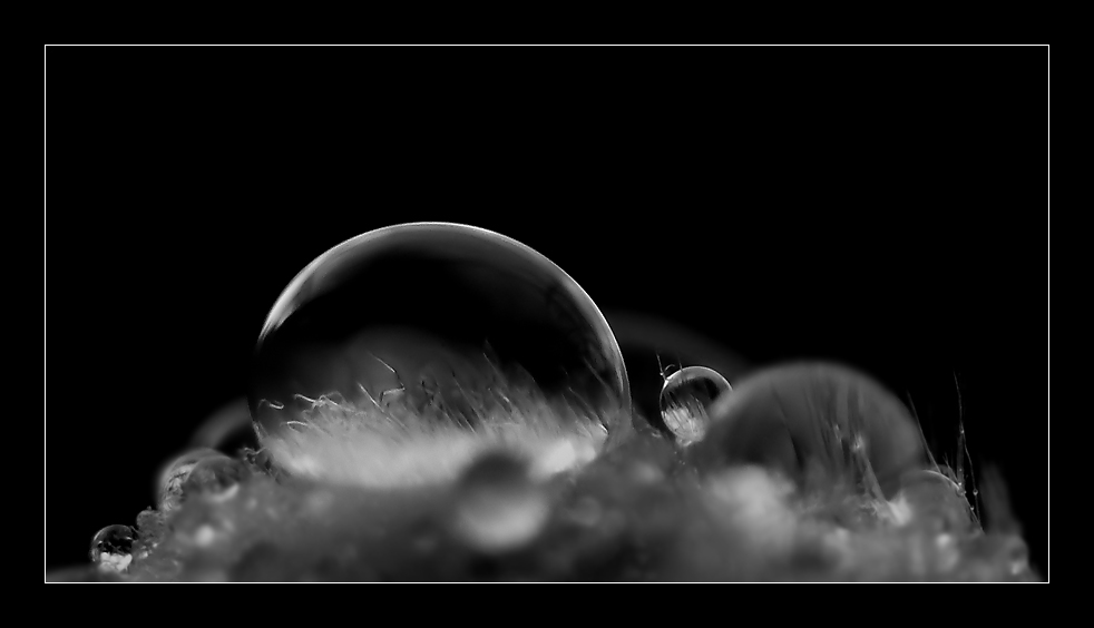 trauer bilder schwarz weiГџ trauer bilder schwarz weiГџ