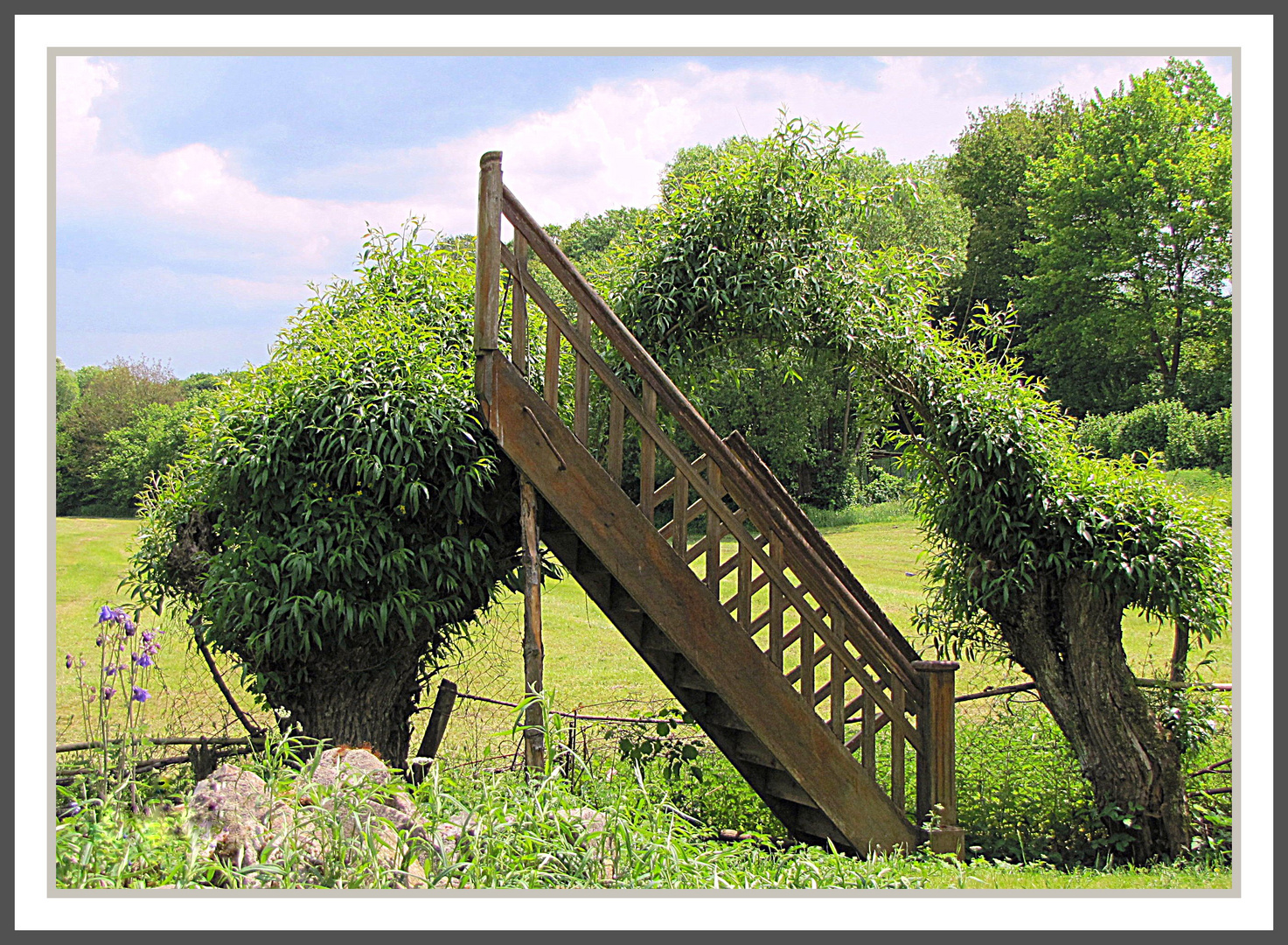 Treppe im Garten Foto & Bild sonstiges, witziges ;o