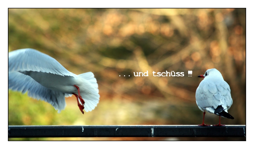 Und Tschüß Und Tschüß