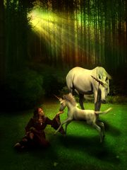 Unicorns and Princesses
