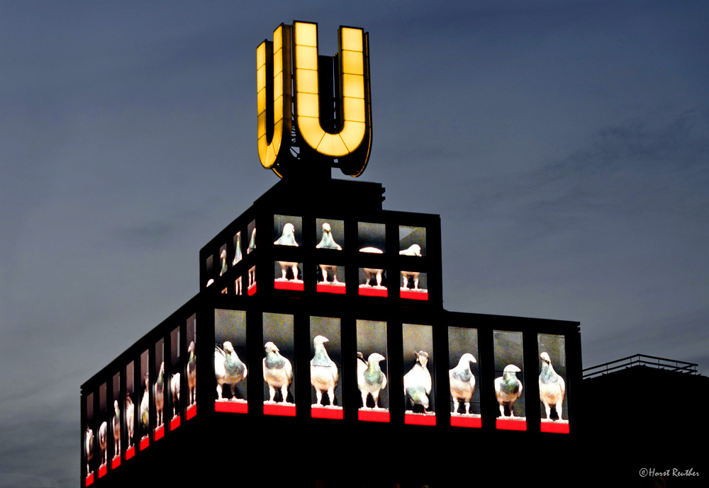 Dortmunder union export vector is now downloading. Dortmunder Union - Union Brauerei in Dortmund Foto & Bild | architektur ...