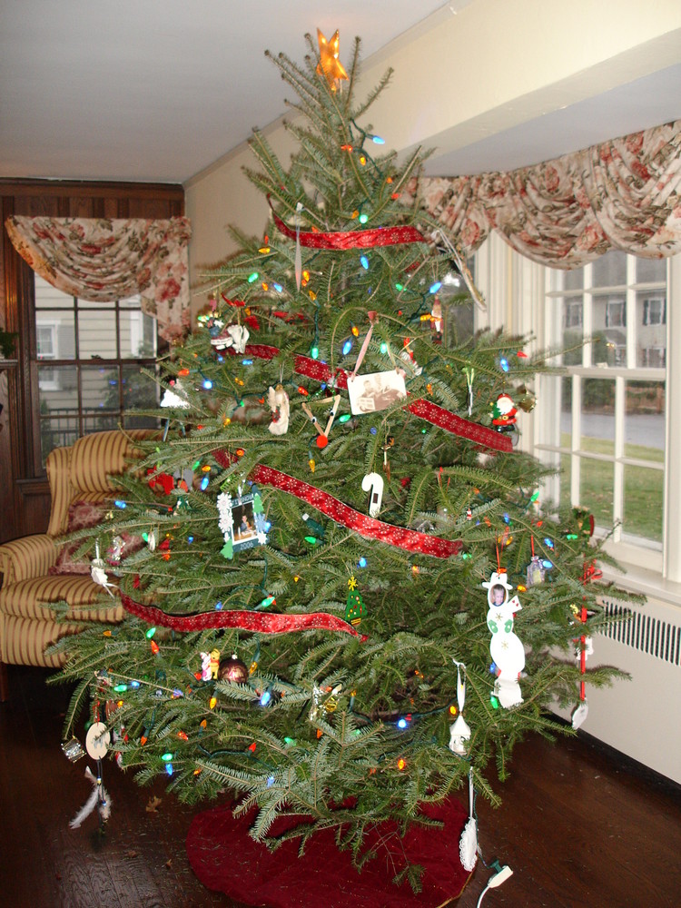 unser amerikanischer weihnachtsbaum foto bild north unser amerikanischer weihnachtsbaum foto bild north