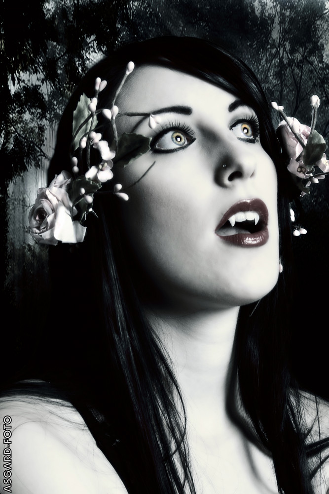 Vampir Bilder Vampir Bilder