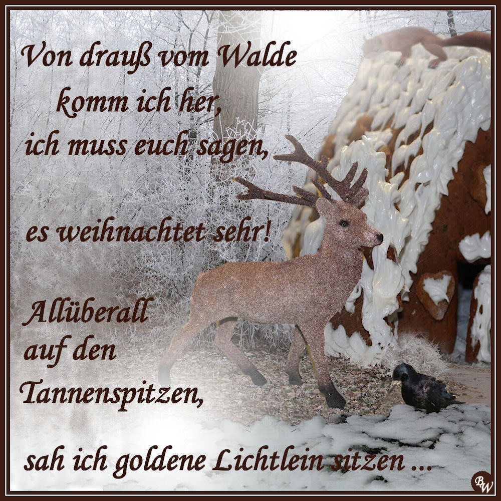 Von drauß vom Walde Foto & Bild gratulation und feiertage