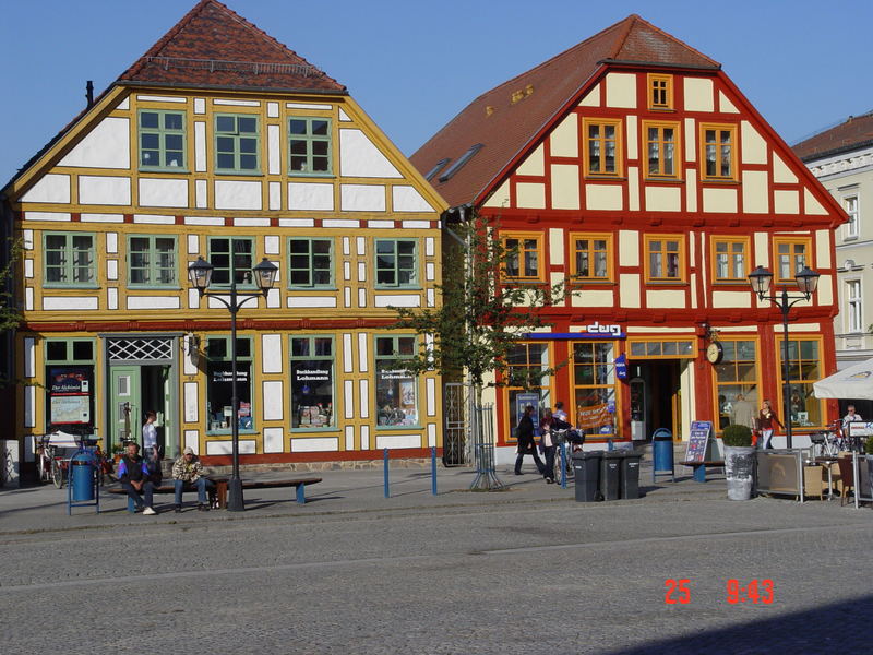 Singleborse waren muritz