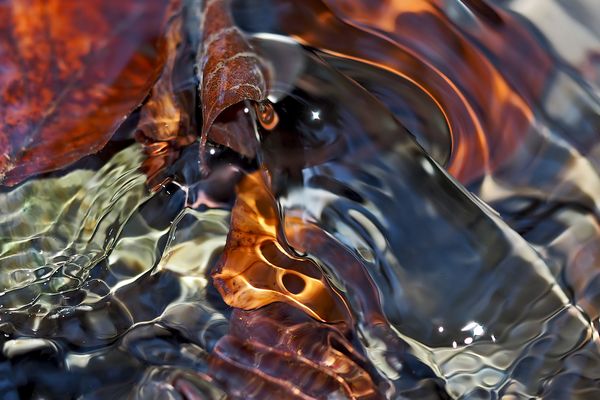 Wasser- und Gefühlsbewegungen: Makro im Bächlein im Wald. - L'eau comme moyen d'expression!