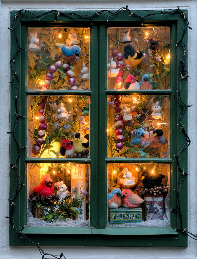 Weihnachtsfenster Foto & Bild stillleben, auslagen, guten abend