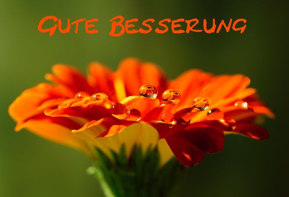 Gute Besserung Bilder &amp; Fotos