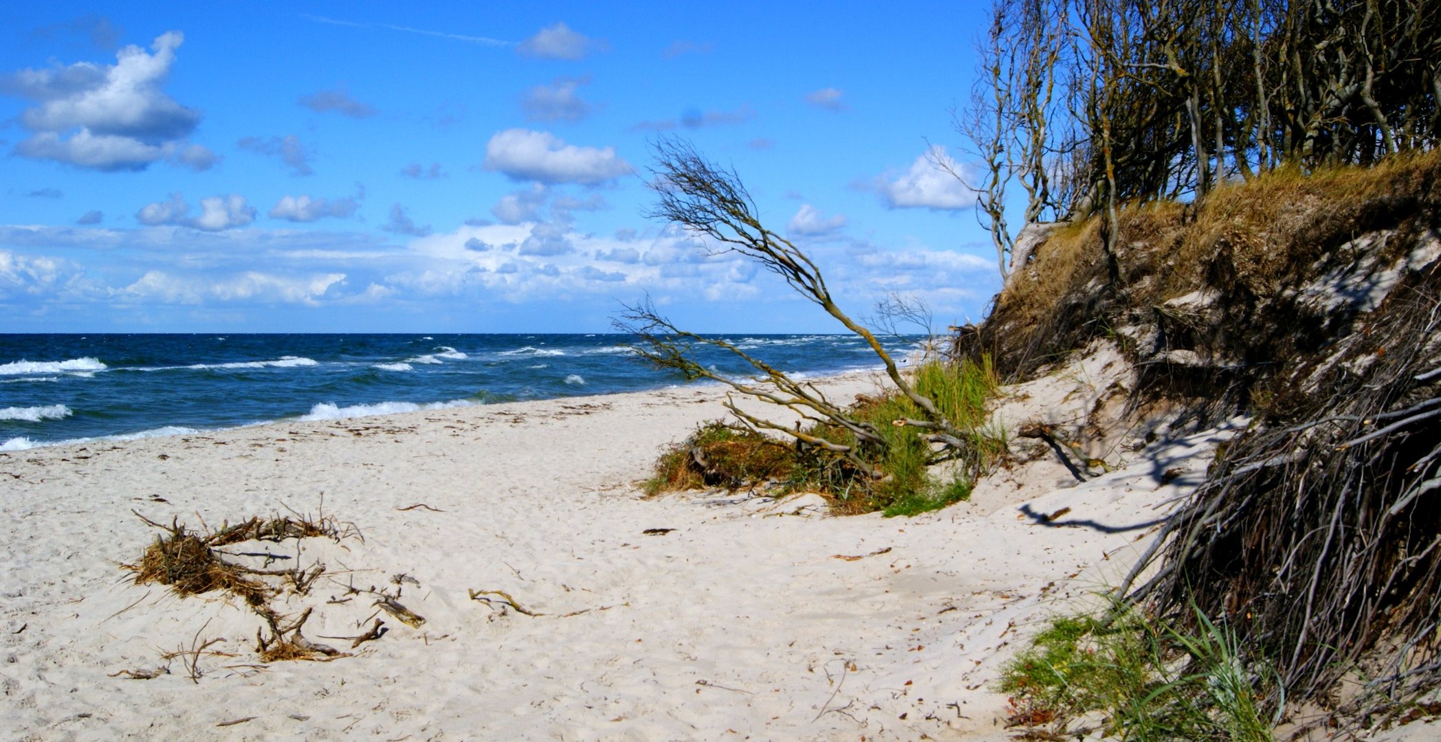 Weststrand/Darß Foto & Bild | landschaft, meer & strand, natur Bilder