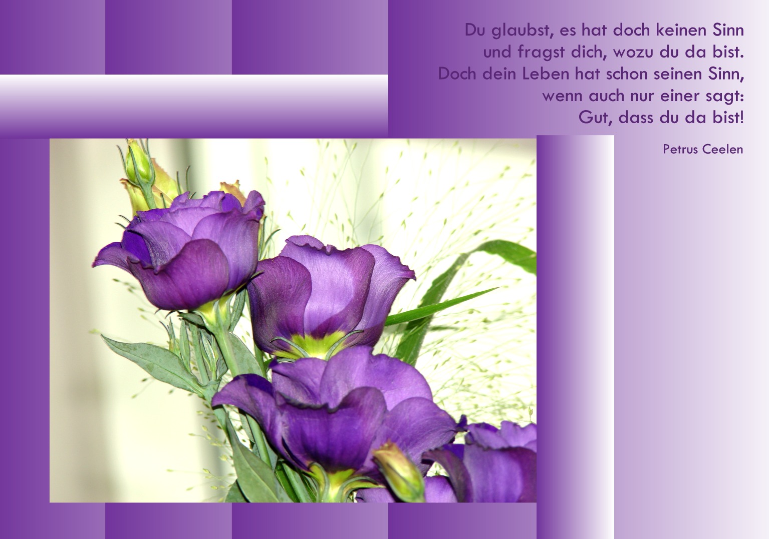 Schön Dass Es Menschen Wie Dich Gibt Text www.fotocommunity.de